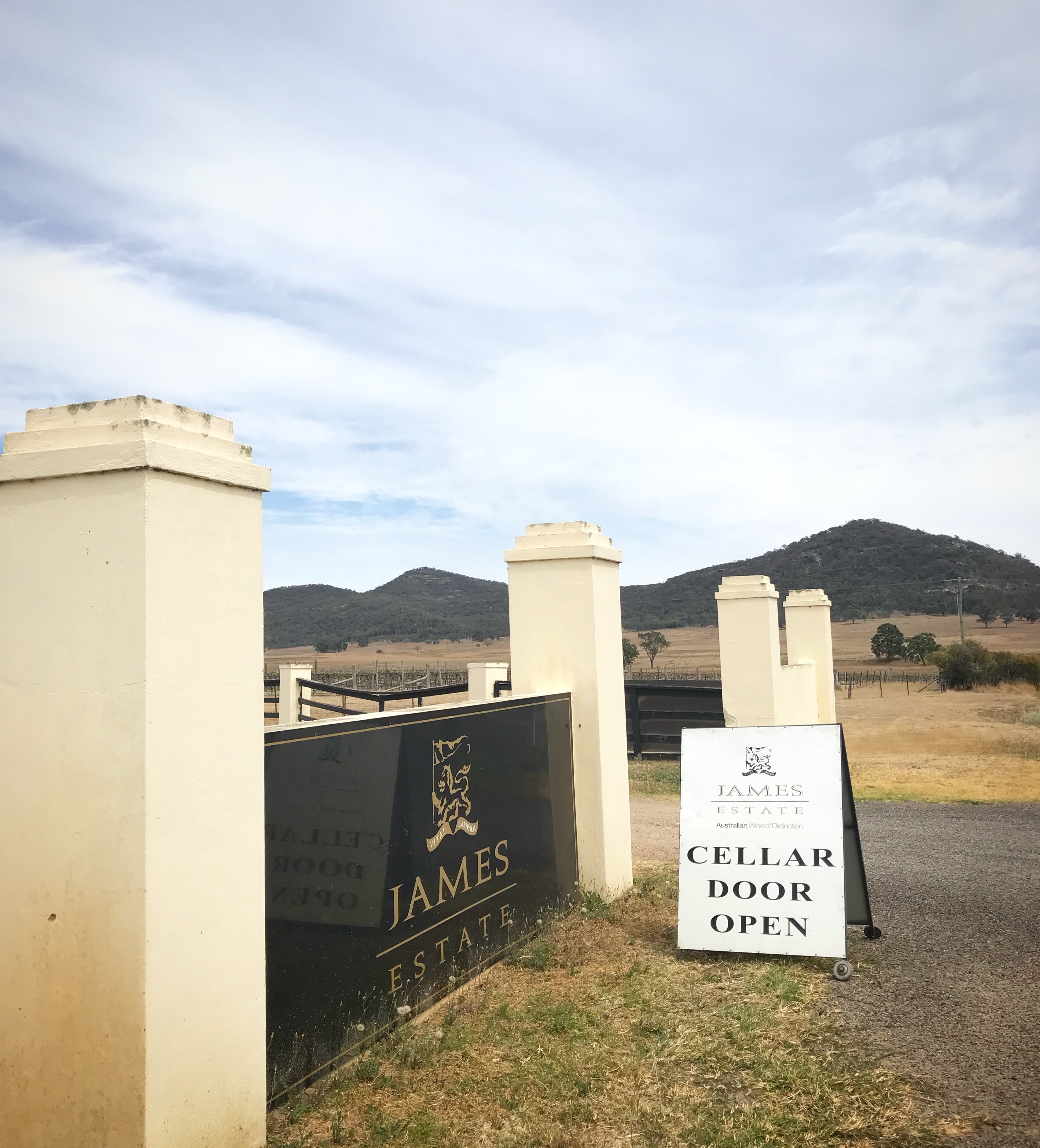 sydney food wine blog hunter valley james estate wines