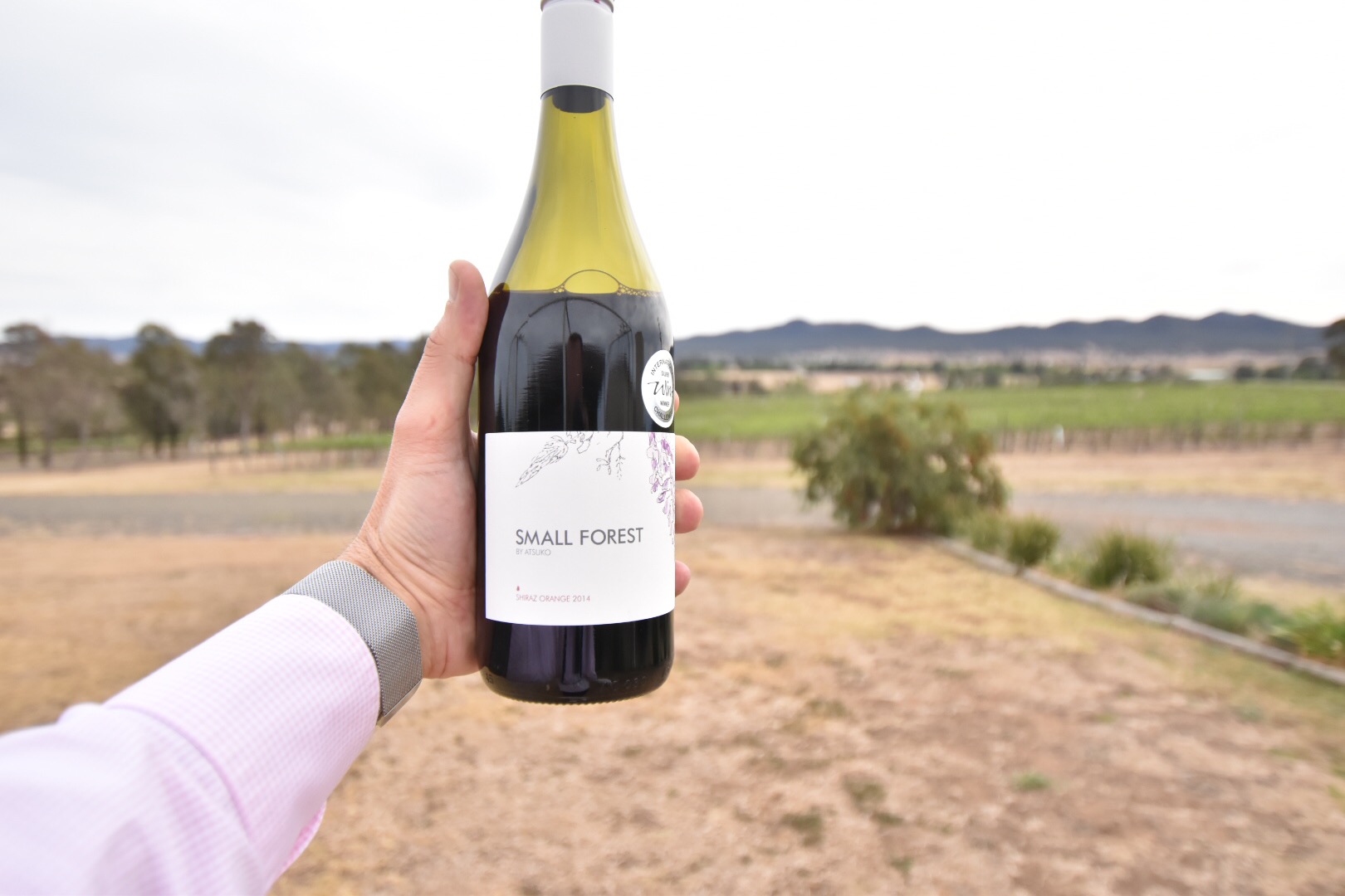 sydney food wine blog hunter valley shiraz small forest by atsuko wines