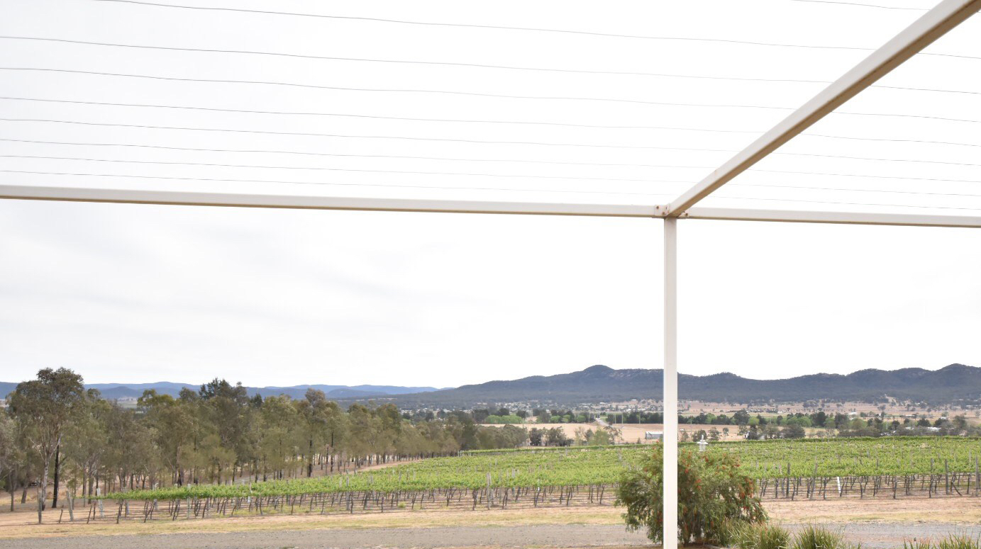 sydney food wine blog hunter valley small forest by atsuko wines