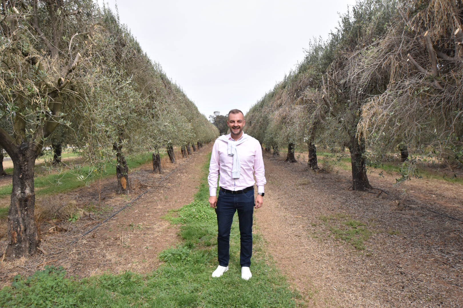 sydney food wine blog hunter valley pukara estate