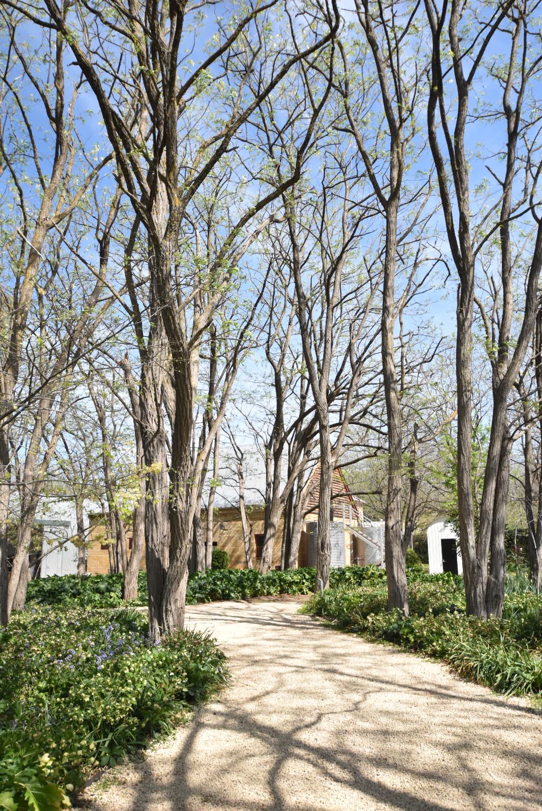 michael reid murrurundi gallery sydney blogger