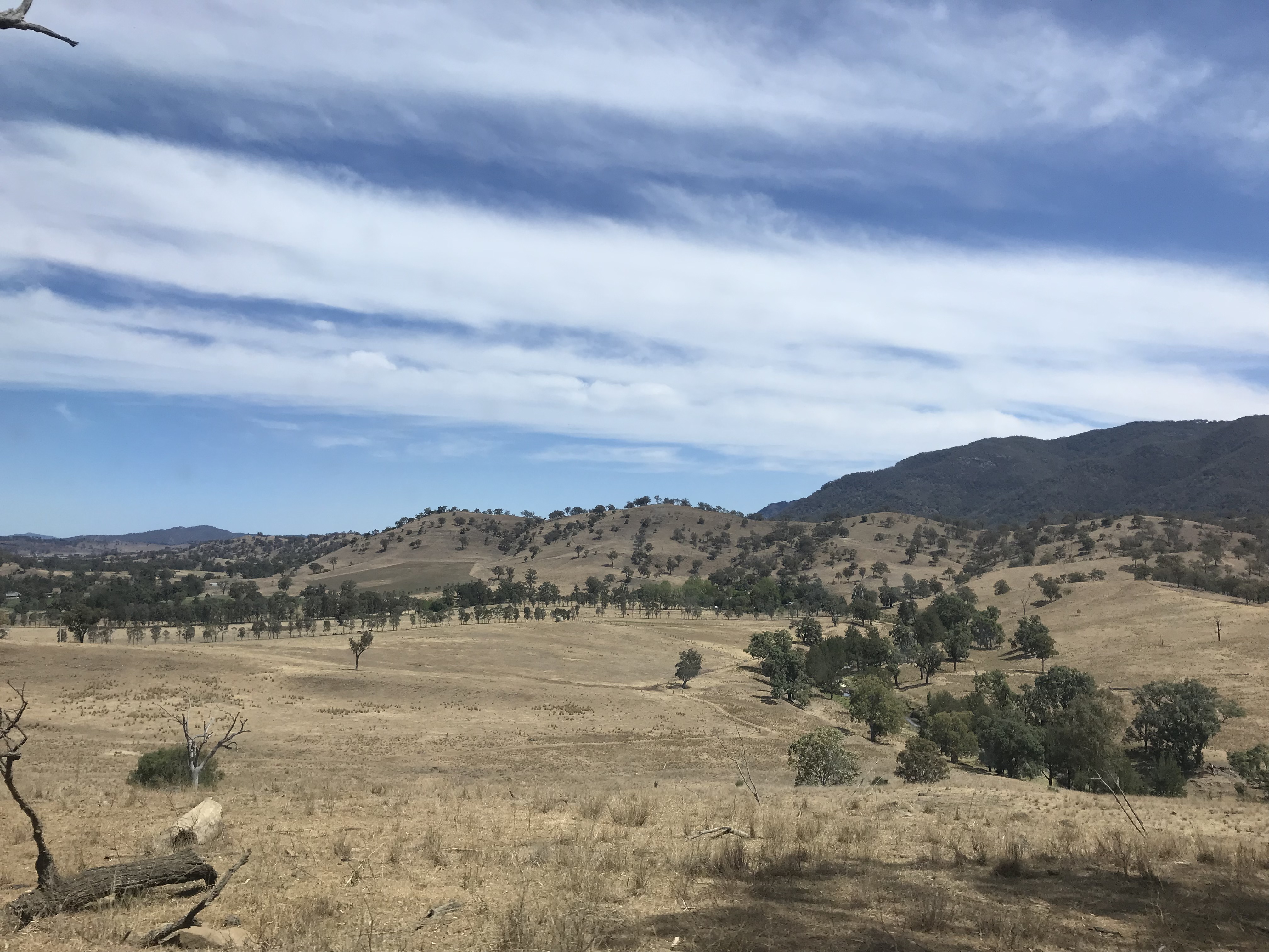 sydney food blogger drought effected hunter valley