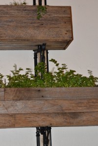 silly tart kitchen potts point sydney food blogger